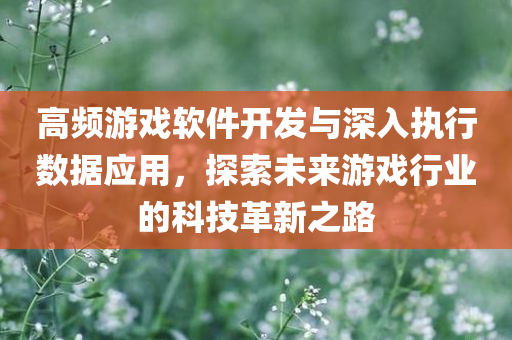 高频游戏软件开发与深入执行数据应用，探索未来游戏行业的科技革新之路