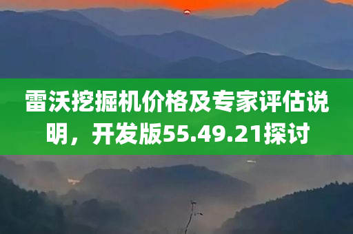 雷沃挖掘机价格及专家评估说明，开发版55.49.21探讨