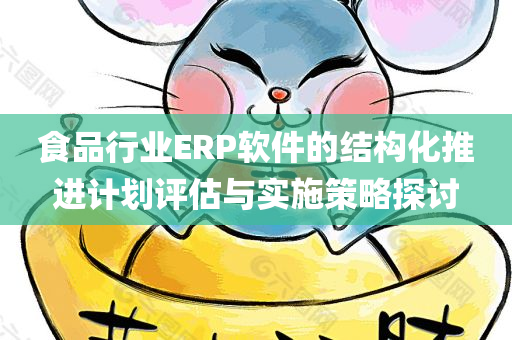 食品行业ERP软件的结构化推进计划评估与实施策略探讨