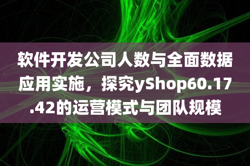 软件开发公司人数与全面数据应用实施，探究yShop60.17.42的运营模式与团队规模