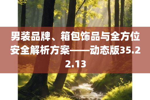 男装品牌、箱包饰品与全方位安全解析方案——动态版35.22.13