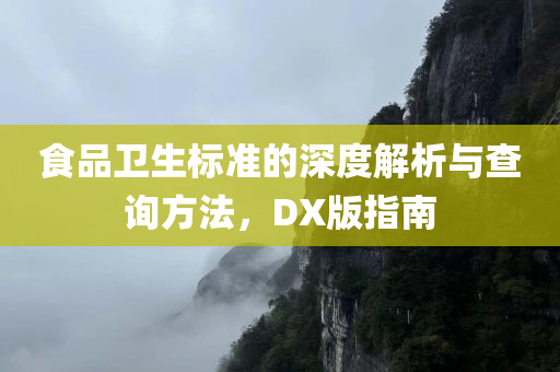 食品卫生标准的深度解析与查询方法，DX版指南