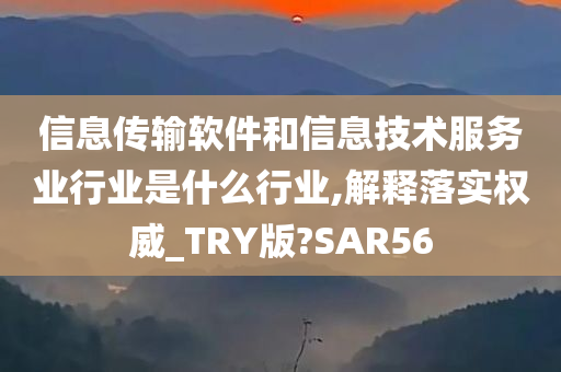 信息传输软件和信息技术服务业行业是什么行业,解释落实权威_TRY版?SAR56