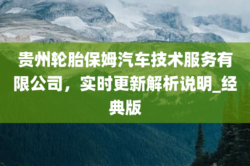 贵州轮胎保姆汽车技术服务有限公司，实时更新解析说明_经典版