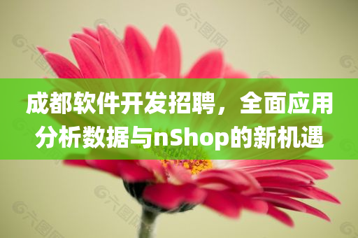 成都软件开发招聘，全面应用分析数据与nShop的新机遇