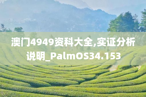 澳门4949资科大全,实证分析说明_PalmOS34.153