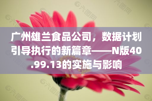 广州雄兰食品公司，数据计划引导执行的新篇章——N版40.99.13的实施与影响