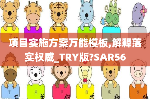 项目实施方案万能模板,解释落实权威_TRY版?SAR56