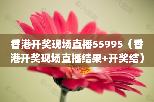 香港开奖现场直播55995（香港开奖现场直播结果+开奖结）