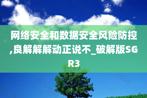 网络安全和数据安全风险防控,良解解解动正说不_破解版SGR3