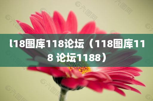 l18图库118论坛（118图库118 论坛1188）