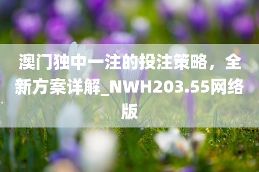 澳门独中一注的投注策略，全新方案详解_NWH203.55网络版