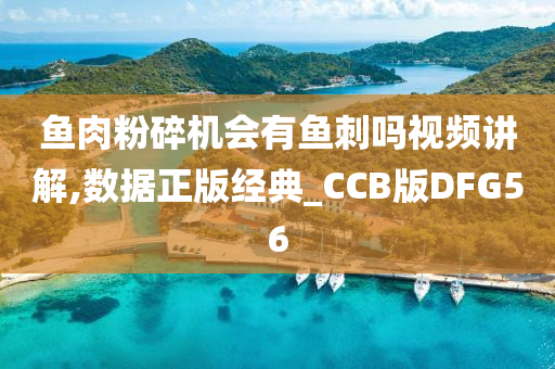 鱼肉粉碎机会有鱼刺吗视频讲解,数据正版经典_CCB版DFG56