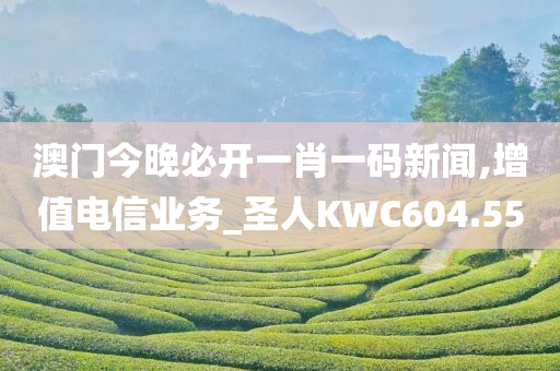 澳门今晚必开一肖一码新闻,增值电信业务_圣人KWC604.55