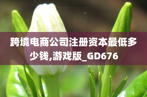 跨境电商公司注册资本最低多少钱,游戏版_GD676