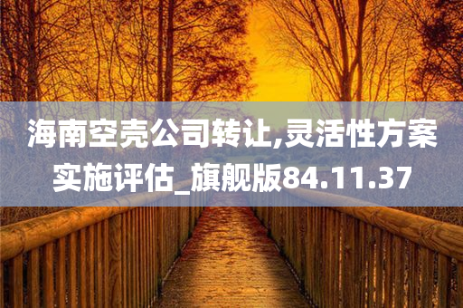 海南空壳公司转让,灵活性方案实施评估_旗舰版84.11.37