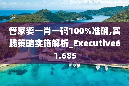 管家婆一肖一码100%准确,实践策略实施解析_Executive61.685