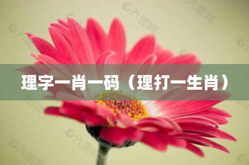 理字一肖一码（理打一生肖）