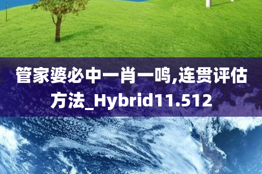 管家婆必中一肖一鸣,连贯评估方法_Hybrid11.512