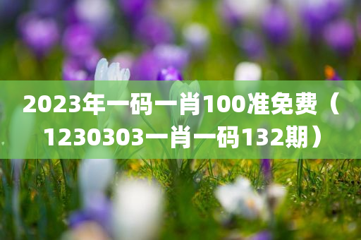 2023年一码一肖100准免费（1230303一肖一码132期）