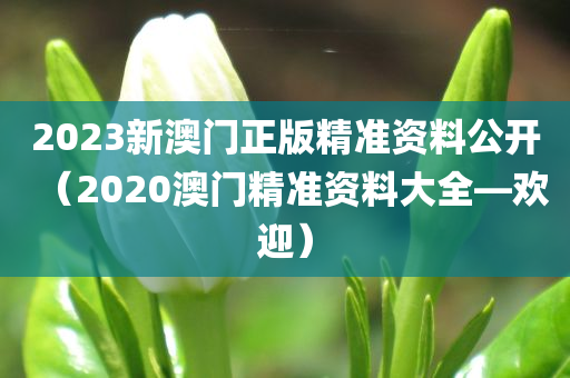 2023新澳门正版精准资料公开（2020澳门精准资料大全—欢迎）