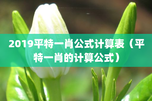 2019平特一肖公式计算表（平特一肖的计算公式）