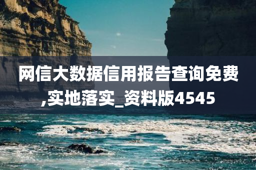 网信大数据信用报告查询免费,实地落实_资料版4545