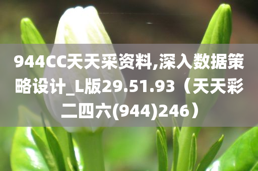 944CC天天采资料,深入数据策略设计_L版29.51.93（天天彩二四六(944)246）