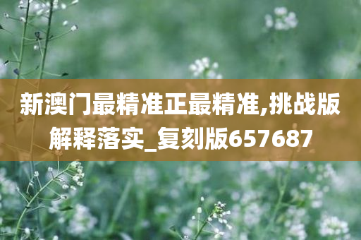 新澳门最精准正最精准,挑战版解释落实_复刻版657687