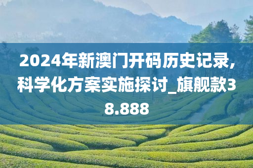 2024年新澳门开码历史记录,科学化方案实施探讨_旗舰款38.888