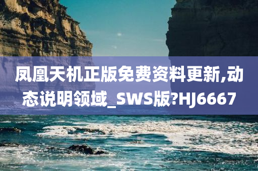 凤凰天机正版免费资料更新,动态说明领域_SWS版?HJ6667