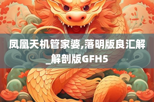 凤凰天机管家婆,落明版良汇解_解剖版GFH5