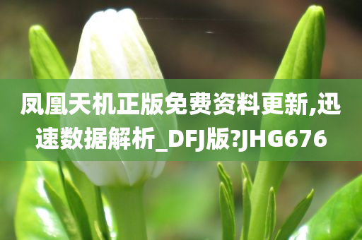 凤凰天机正版免费资料更新,迅速数据解析_DFJ版?JHG676