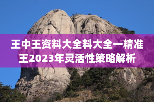 王中王资料大全料大全一精准王2023年灵活性策略解析