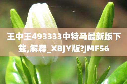 王中王493333中特马最新版下载,解释_XBJY版?JMF56