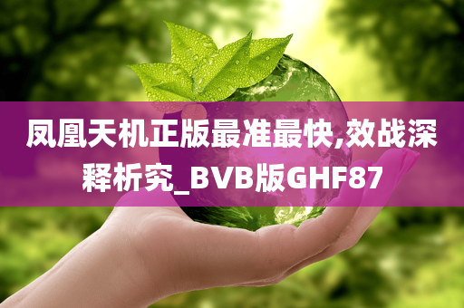 凤凰天机正版最准最快,效战深释析究_BVB版GHF87