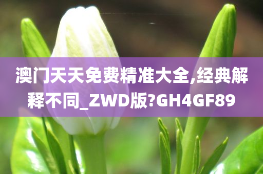 澳门天天免费精准大全,经典解释不同_ZWD版?GH4GF89