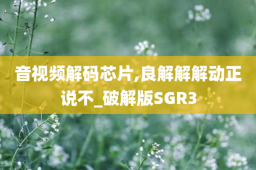 音视频解码芯片,良解解解动正说不_破解版SGR3