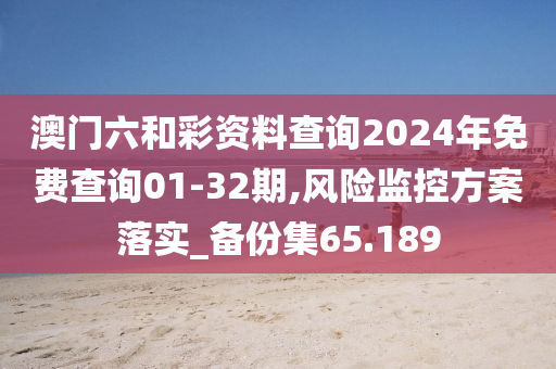 澳门六和彩资料查询2024年免费查询01-32期,风险监控方案落实_备份集65.189