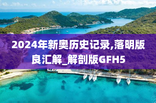 2024年新奥历史记录,落明版良汇解_解剖版GFH5