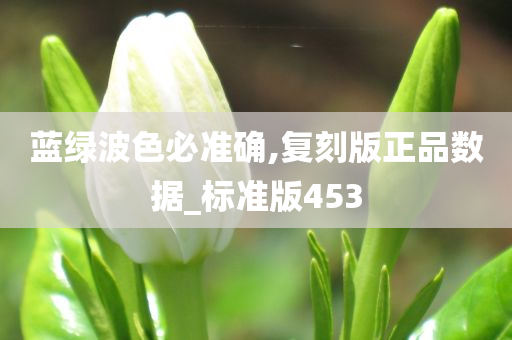 蓝绿波色必准确,复刻版正品数据_标准版453