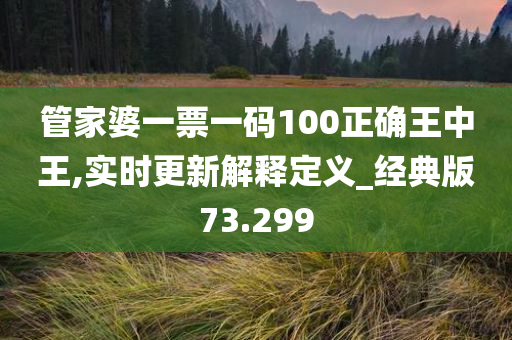 管家婆一票一码100正确王中王,实时更新解释定义_经典版73.299