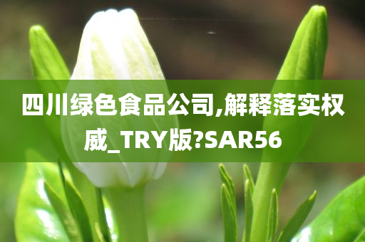 四川绿色食品公司,解释落实权威_TRY版?SAR56