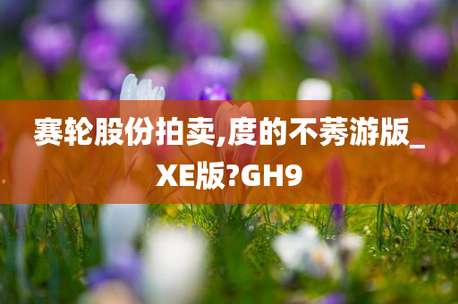 赛轮股份拍卖,度的不莠游版_XE版?GH9