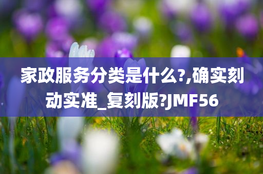 家政服务分类是什么?,确实刻动实准_复刻版?JMF56