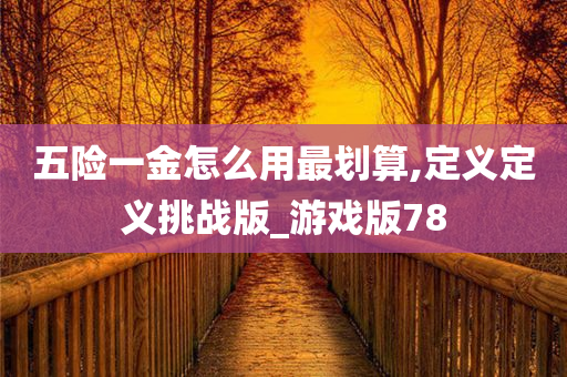 五险一金怎么用最划算,定义定义挑战版_游戏版78