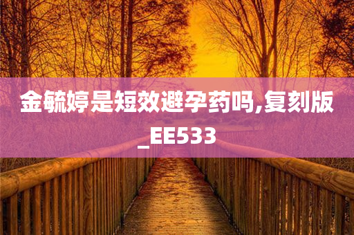 金毓婷是短效避孕药吗,复刻版_EE533