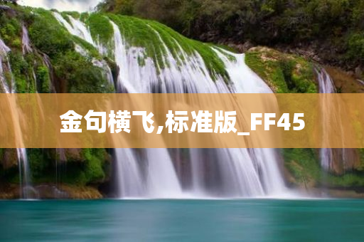 金句横飞,标准版_FF45