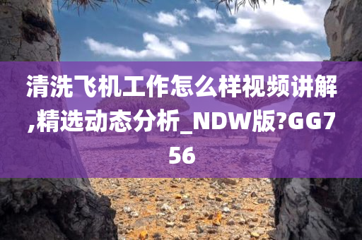 清洗飞机工作怎么样视频讲解,精选动态分析_NDW版?GG756