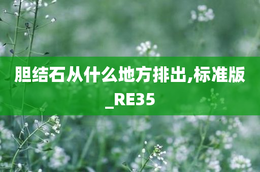 胆结石从什么地方排出,标准版_RE35